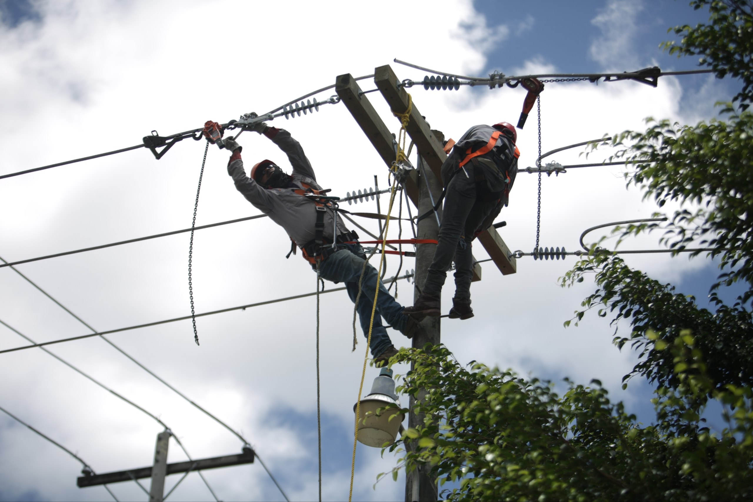 Diputados advierten que la demora en la reforma eléctrica prolonga las pérdidas financieras de la ENEE. · Foto: Emilio Flores/DNH.