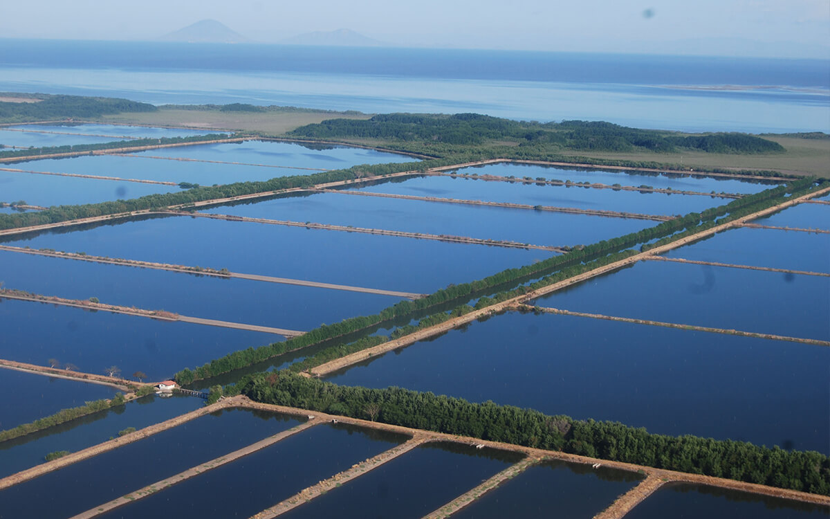 camaroneras-delta-estero-real_wo.jpg