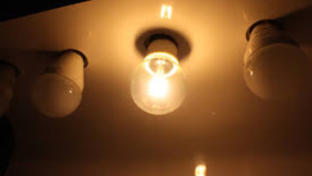 Galería 2