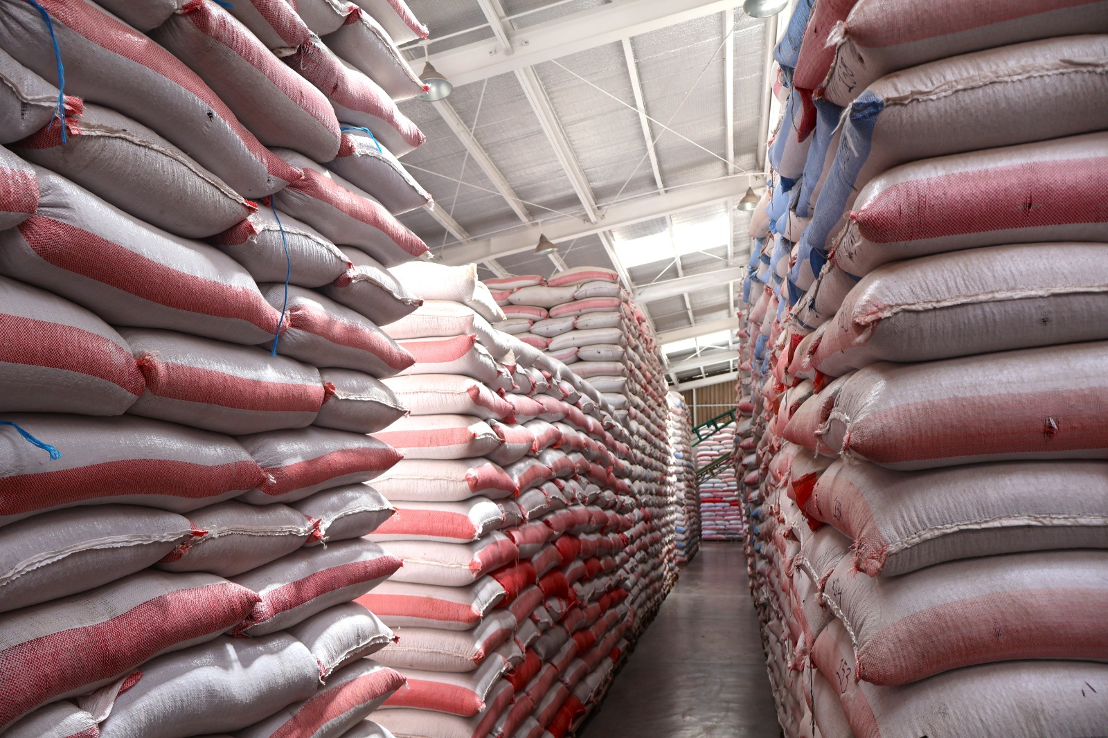 El IHMA mantiene una reserva de 124,000 quintales de frijol para respaldar el abastecimiento nacional.