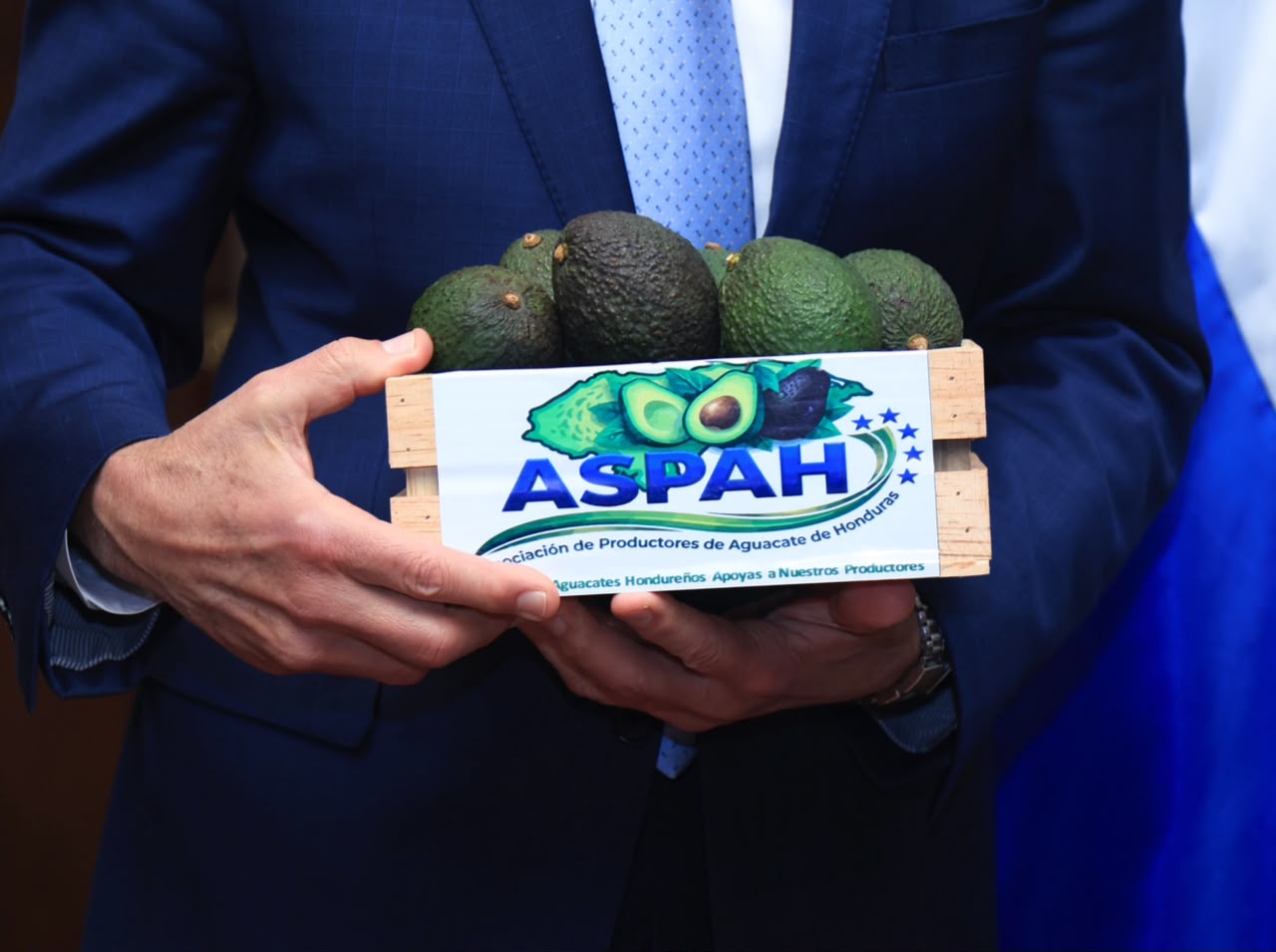 La producción de este fruto se deriva en aguacate hass y antillano.