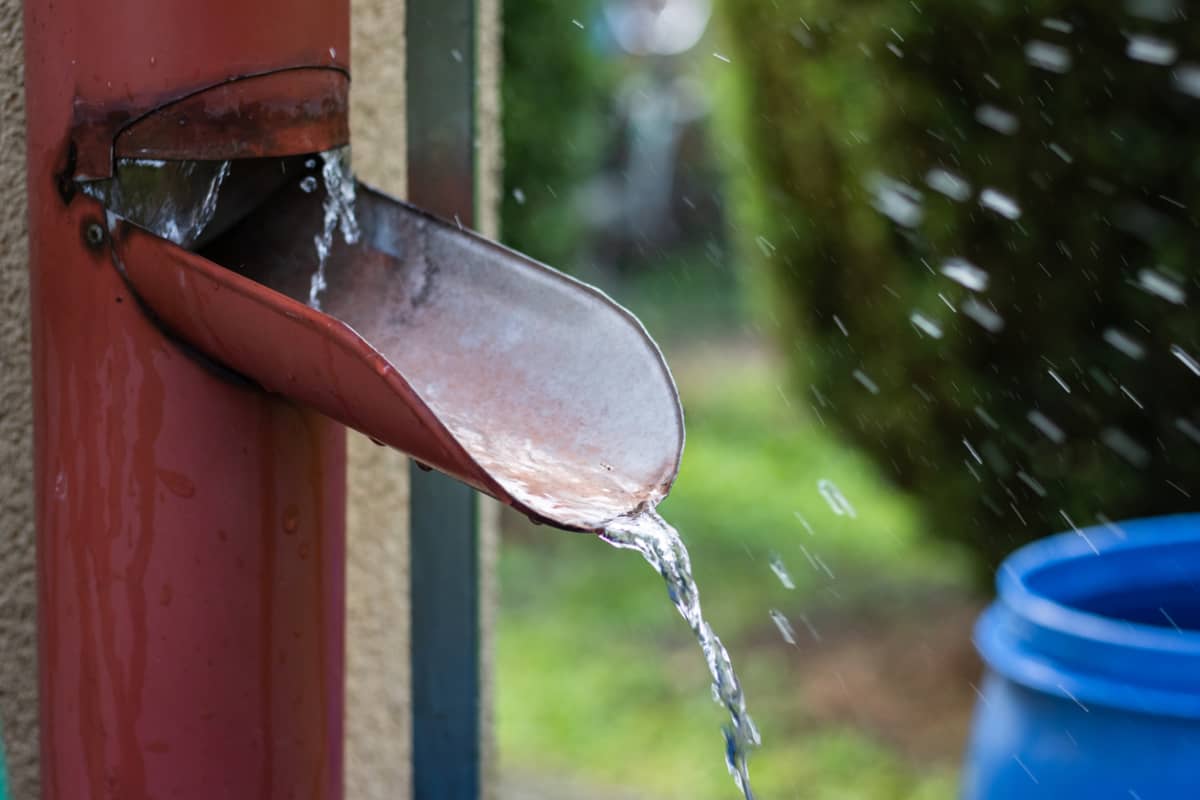 recoger-agua-de-lluvia.jpg