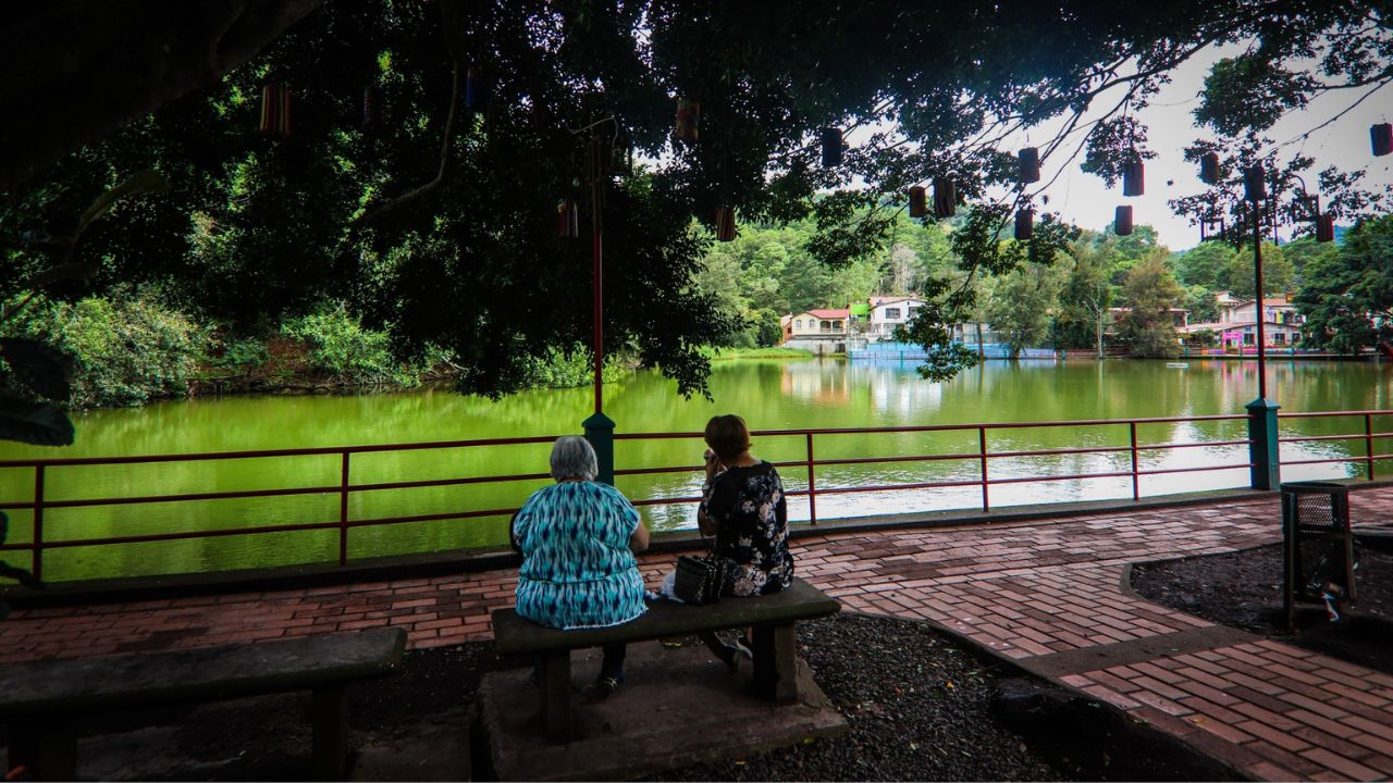 Galería 2