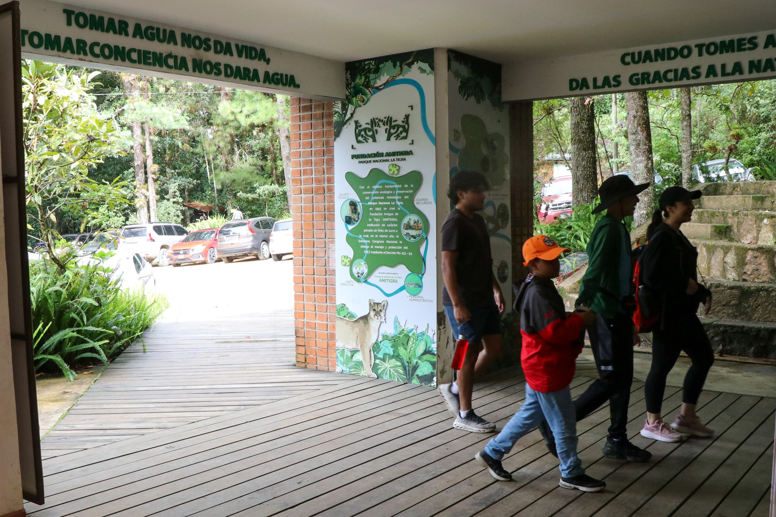 Galería 2