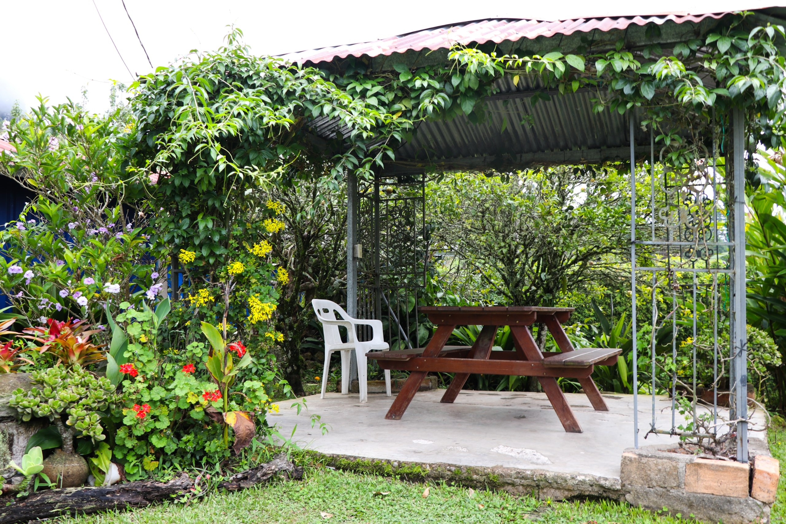 Galería 3