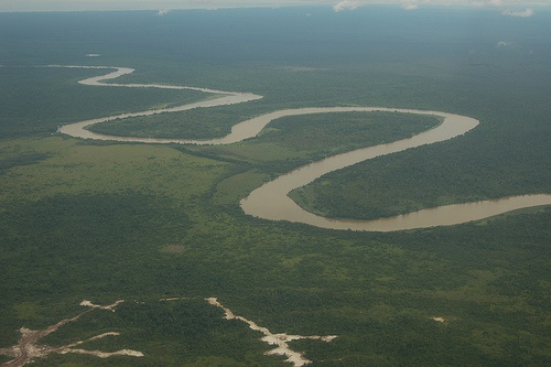 El área protegida abarca unas 350 mil hectáreas de bosques tropicales y ecosistemas de gran biodiversidad.
