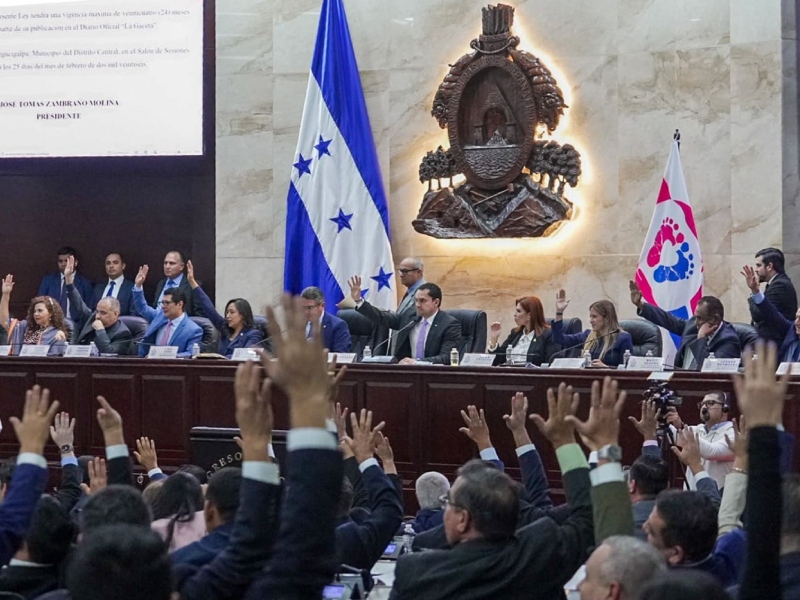 los magistrados podrán trasladar sus observaciones al Congreso Nacio