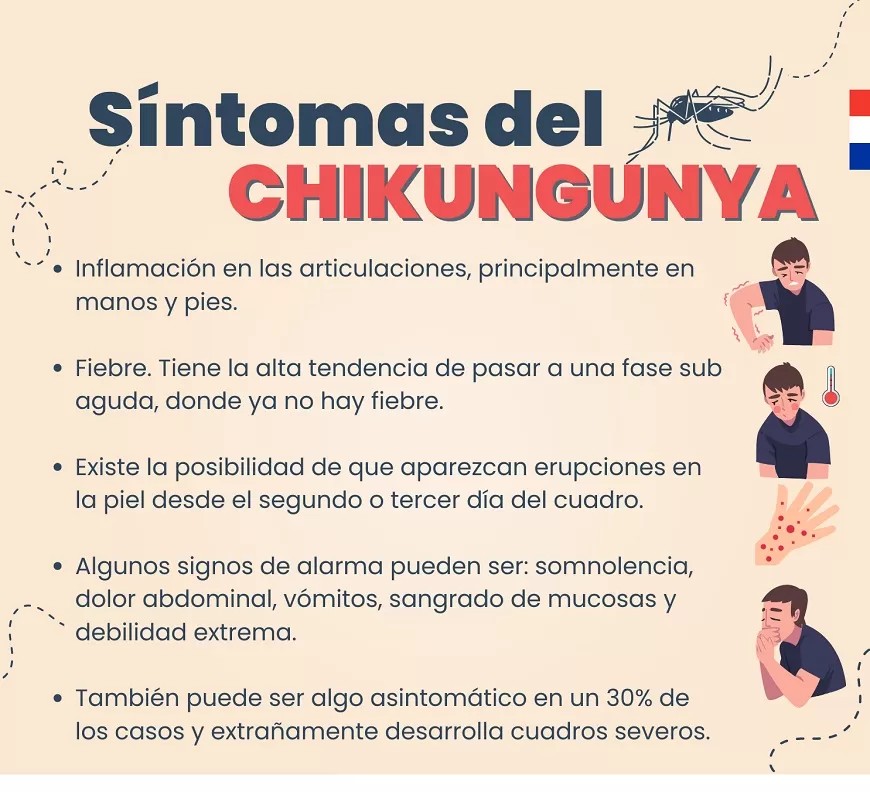 Atención a los síntomas del chikungunya