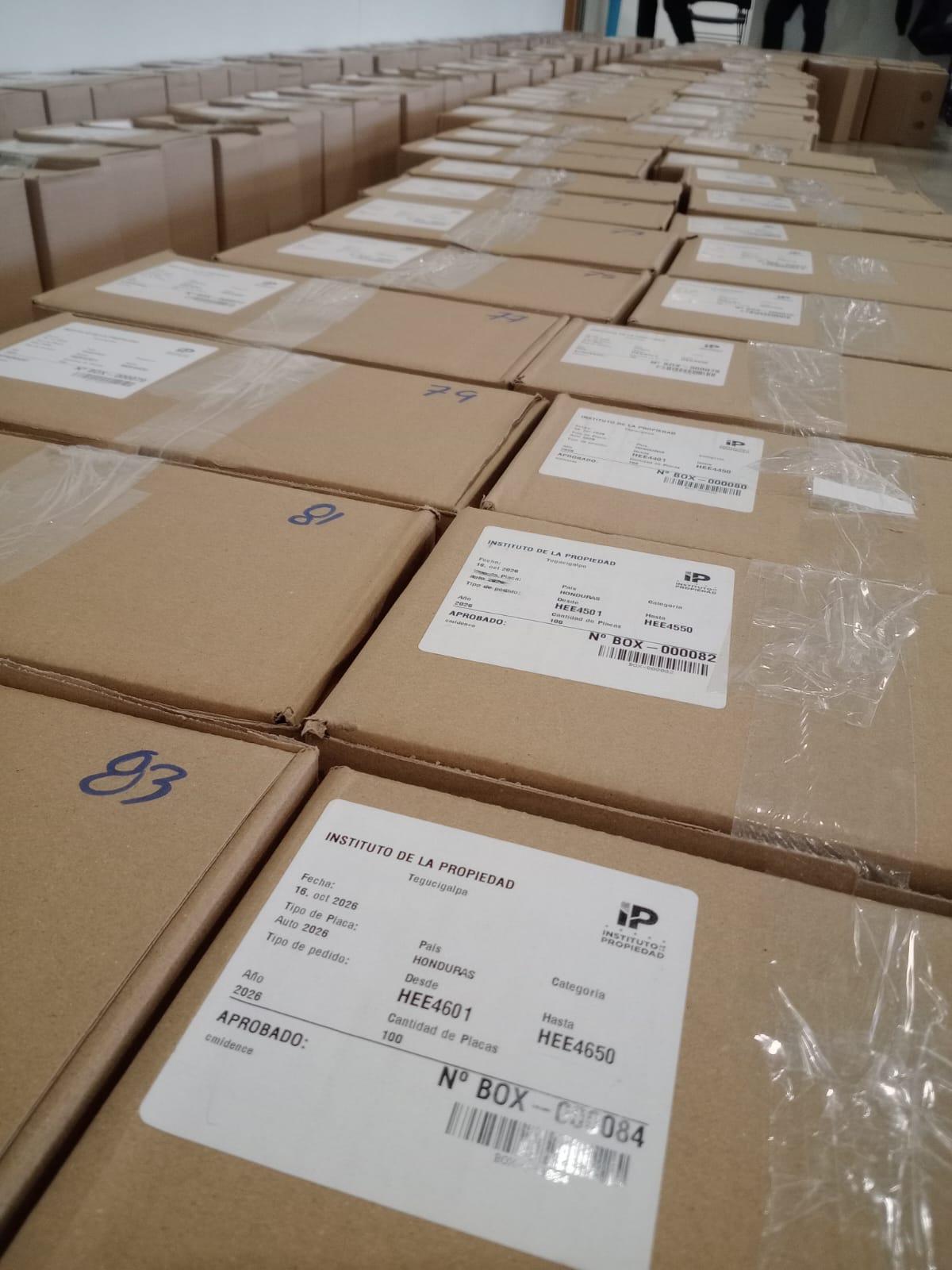 Los propietarios deberán verificar que la documentación y los traspasos de sus vehículos estén actualizados antes de retirar las placas