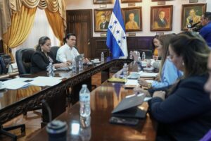 reunión comisión especial juicio politico