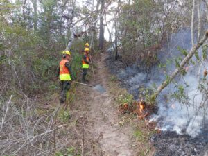 FF. AA. combaten los incendios forestales