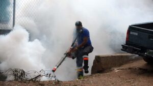 Dengue prevención