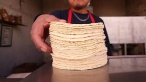 tortilla recién hechas