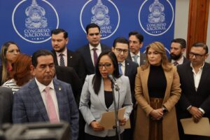 Comisión Especial