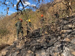 Incendios forestales
