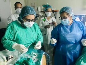 Medicos operantes.