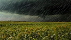 Lluvia.
