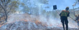 incendios forestales