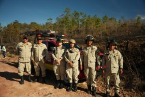 Cuerpo de bomberos