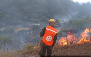 FF. AA. combaten los incendios forestales