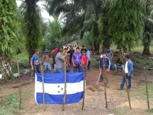 Campesinos