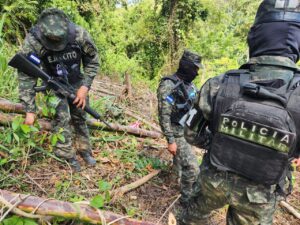 Agentes de las Fuerzas Armadas
