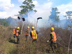 FF. AA. combaten los incendios forestales