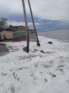 Imagen Marcovia