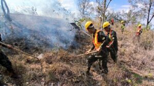 Elementos de la FF. AA. combaten incendios