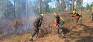 FF. AA. combaten los incendios forestales