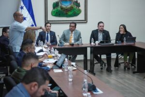 Comisión especial para la elección de autoridades electorales.