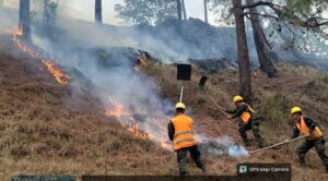 FF. AA. combaten los incendios forestales 