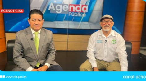 CANAL 8 WEB