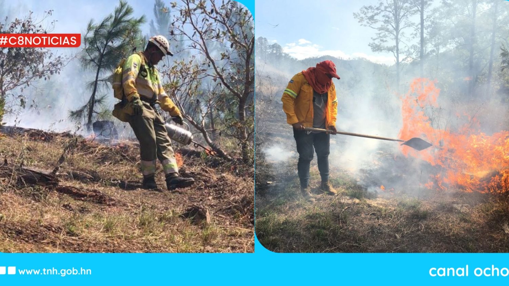 incendios forestales