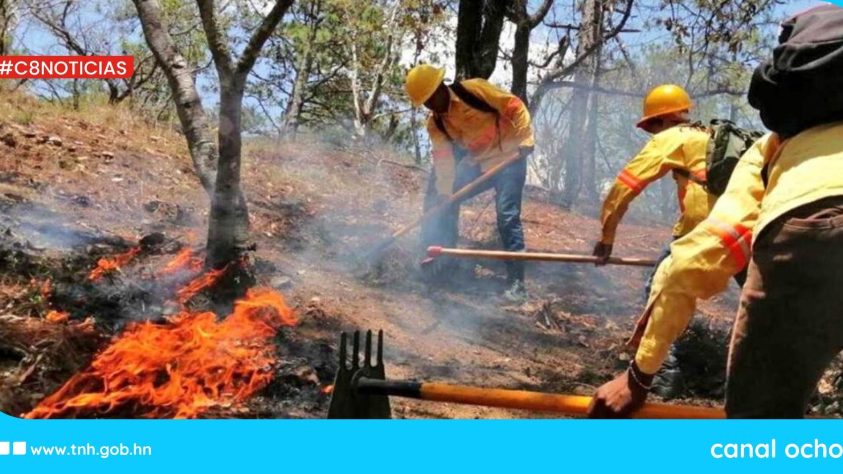 incendios forestales