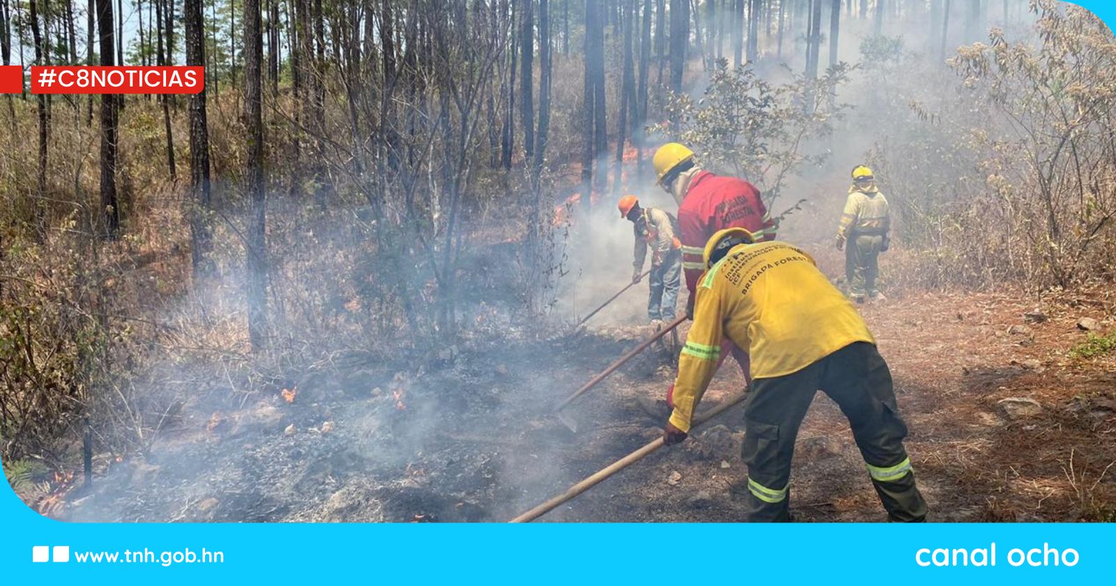 Cuadrillas del ICF mantienen amplio despliegue en combate y prevención de incendios forestales