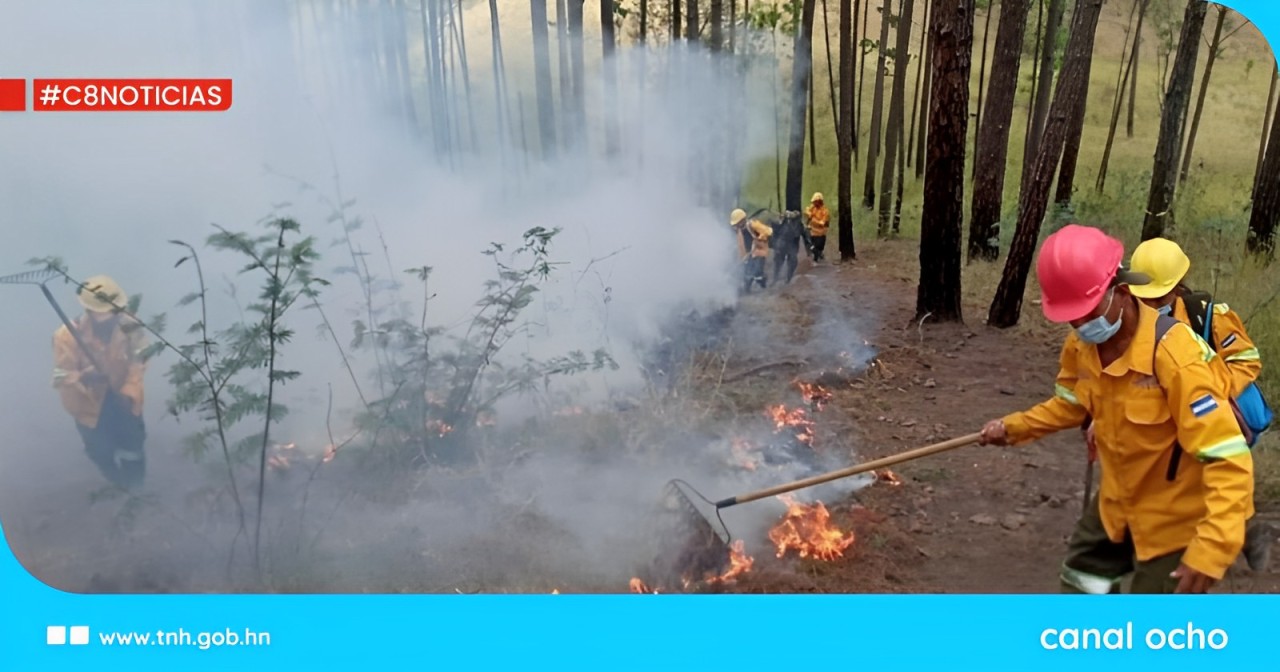 Honduras registra más de 156 mil hectáreas de bosque afectadas por incendios forestales