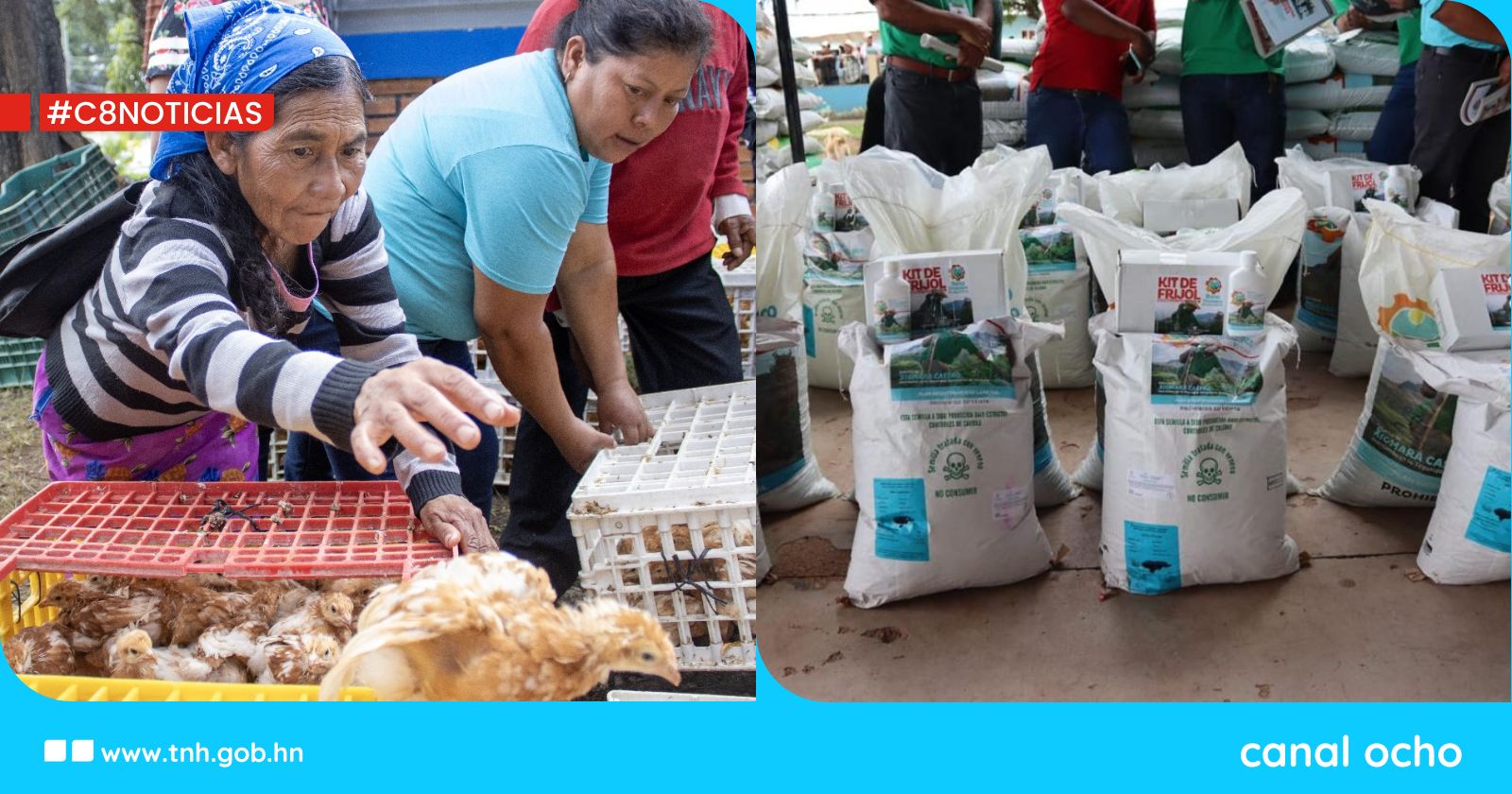 FAO indica que Honduras muestra un panorama alentador en la seguridad alimentaria