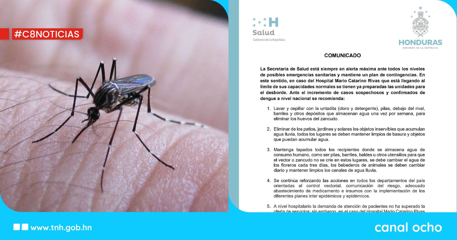 Sesal emite nuevas recomendaciones para combatir el dengue ante colapso de salas hospitalarias