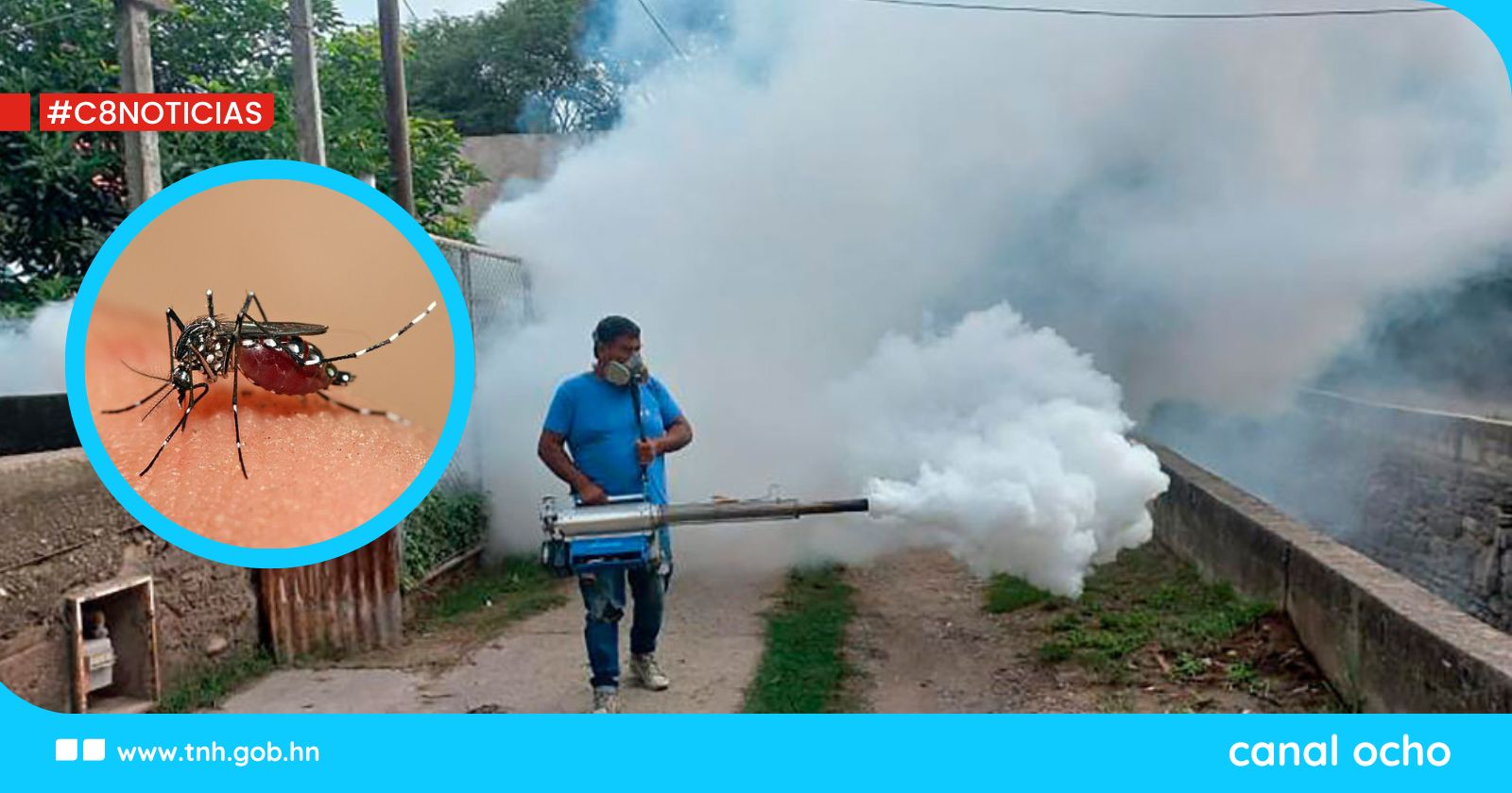Gobierno declara emergencia sanitaria nacional por dengue