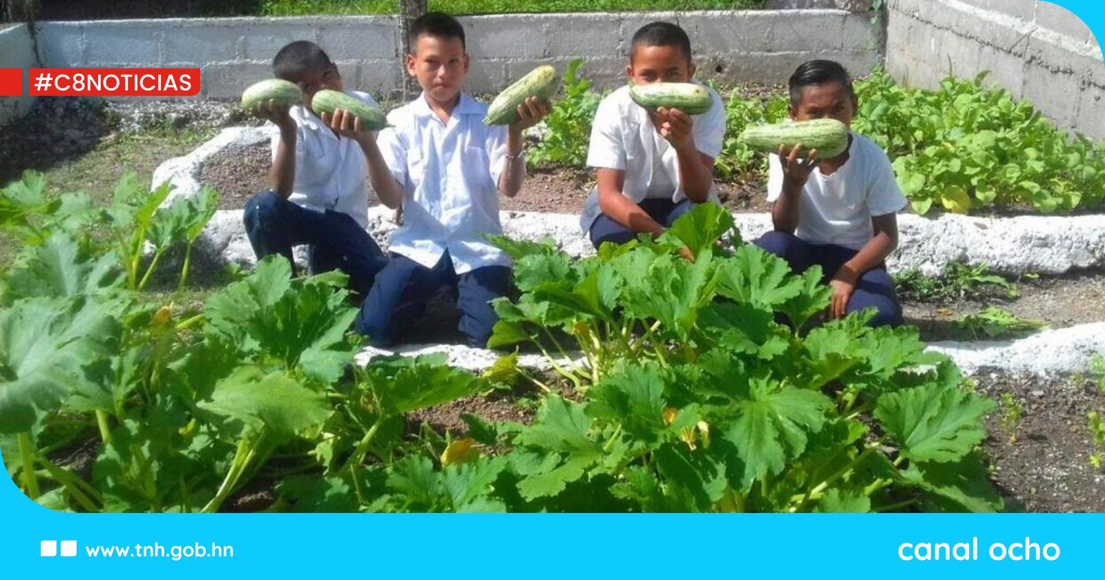 Huertos pedagógicos del municipio de San Manuel Colohote dan sus primeros frutos