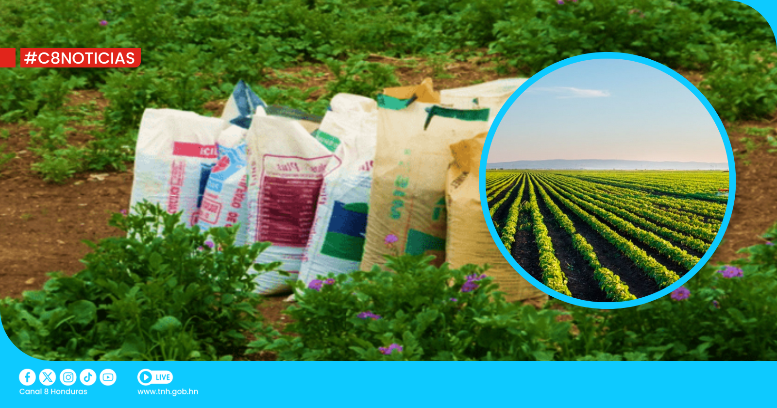 Dicta recibe lote de más de 6 mil insumos agrícolas para ser distribuidos en Valle