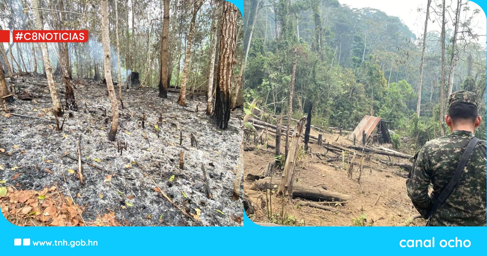 ICF descubre zonas de descombro en la región forestal de Olancho