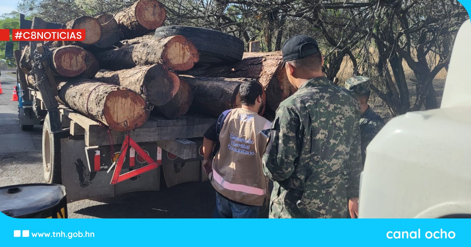 FF. AA. realizan operativos para el combate de la tala ilegal en varios sectores del país