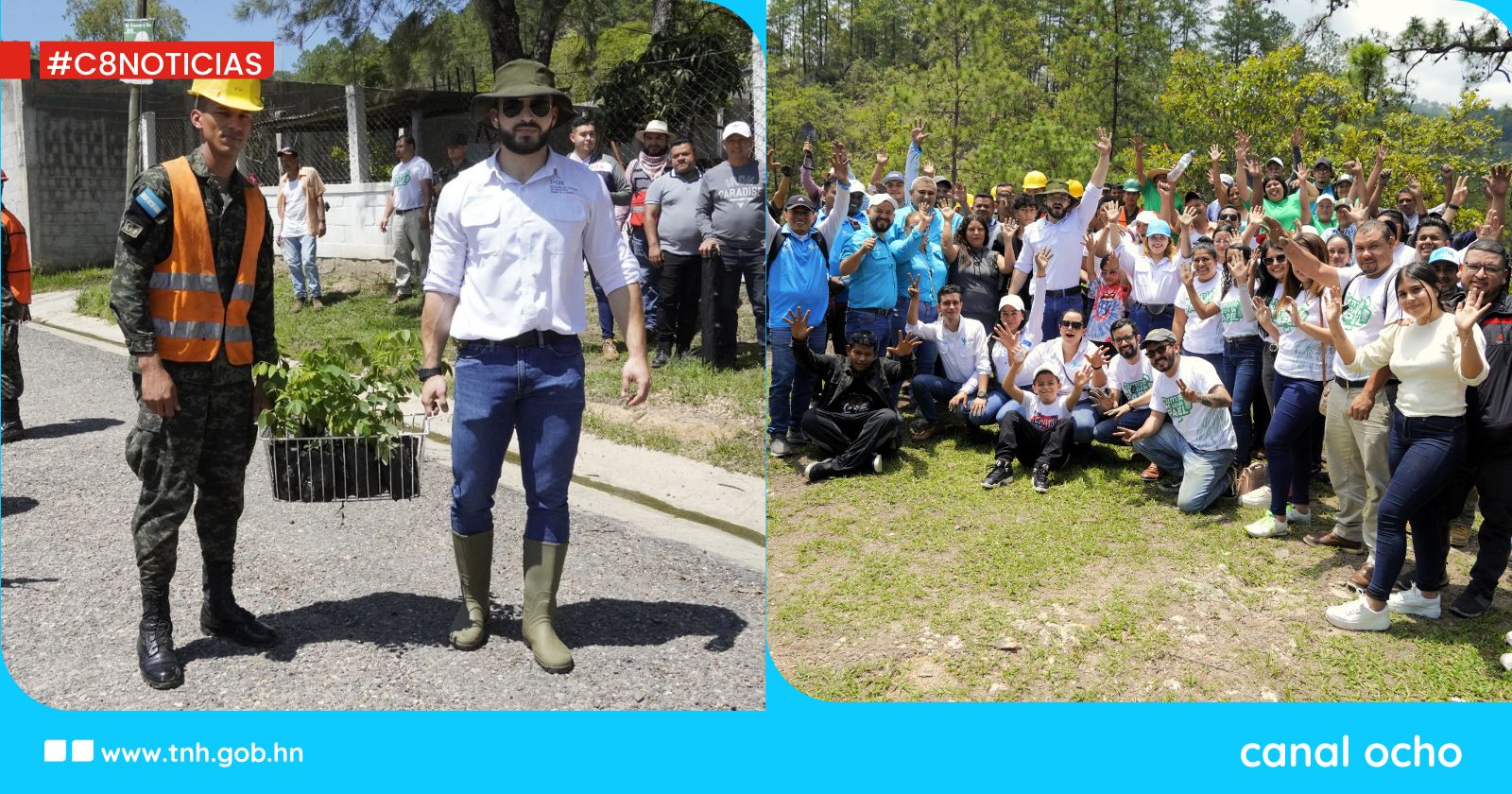 Correos de Honduras y FF. AA. logran sembrar más de 500 árboles