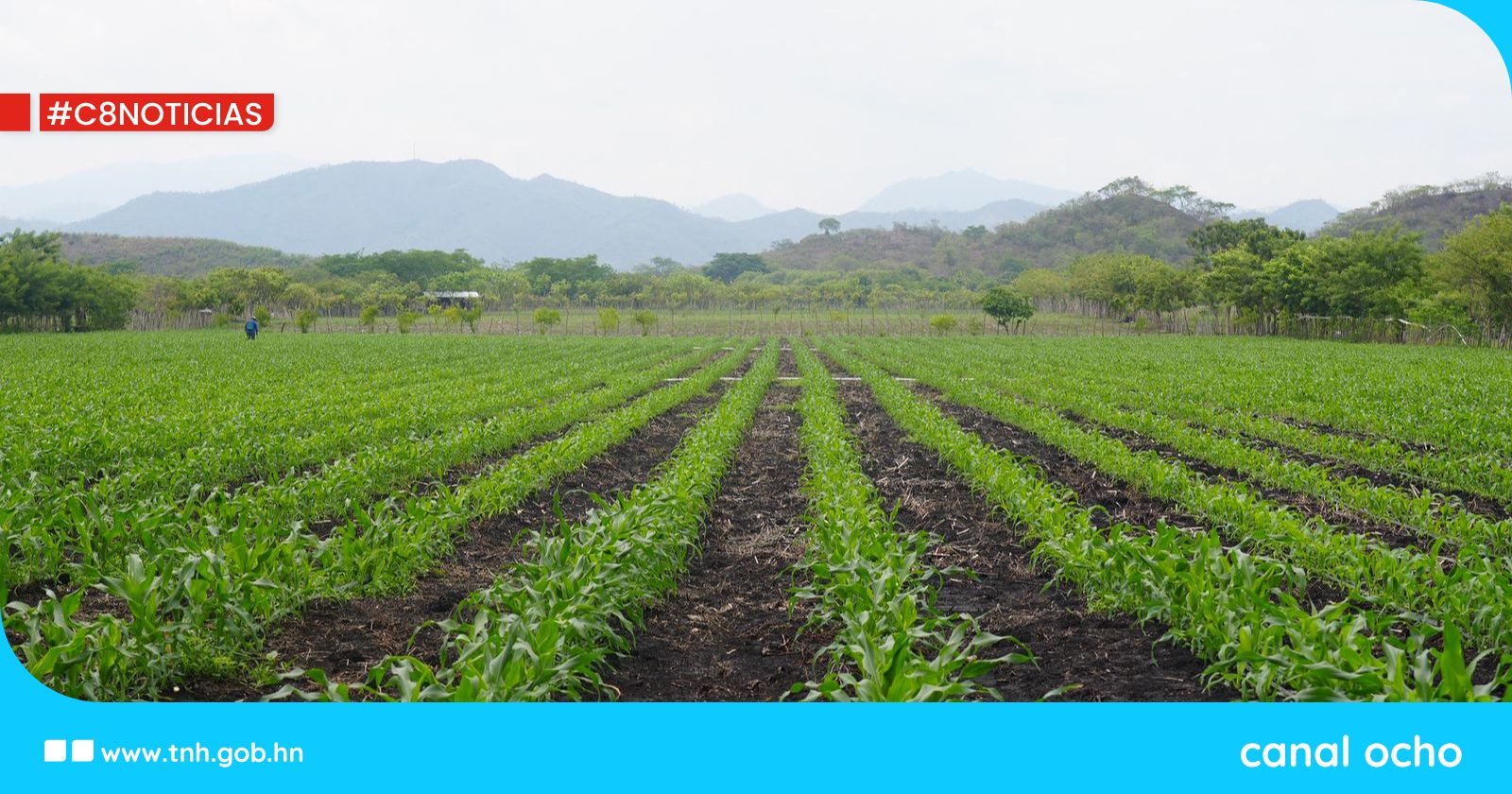 Proyecto Mi Riego beneficiará a más de 600 productores de Jamastrán