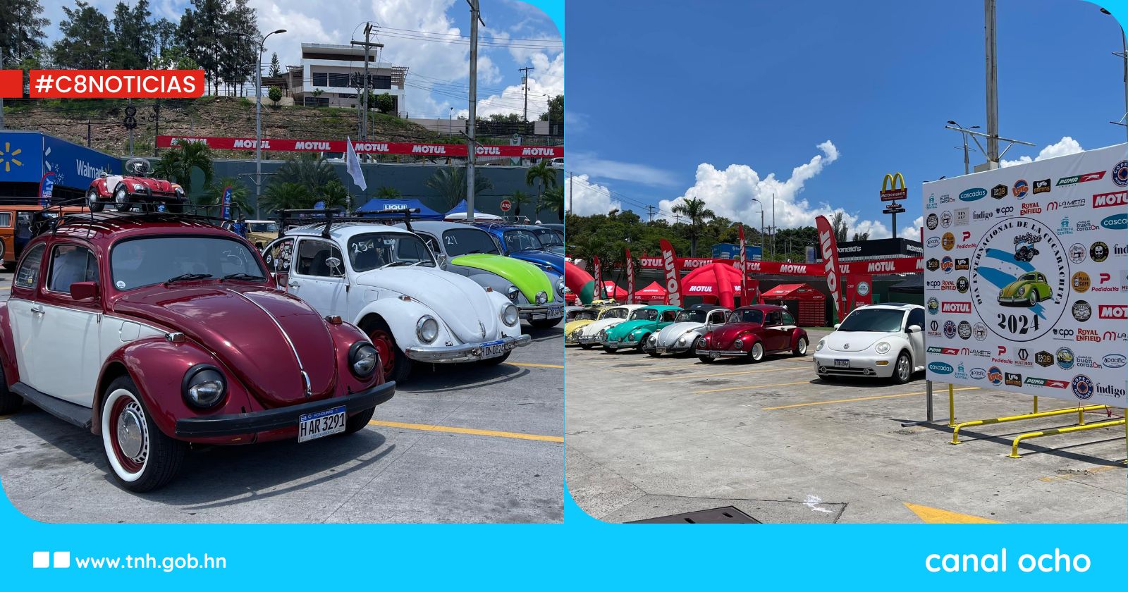 Tegucigalpa conmemora el Día Internacional de los Volkswagen tipo «Cucarachita»