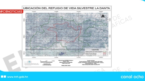 Copia de Práctica CANAL 8 PROYECTO WEB (76)