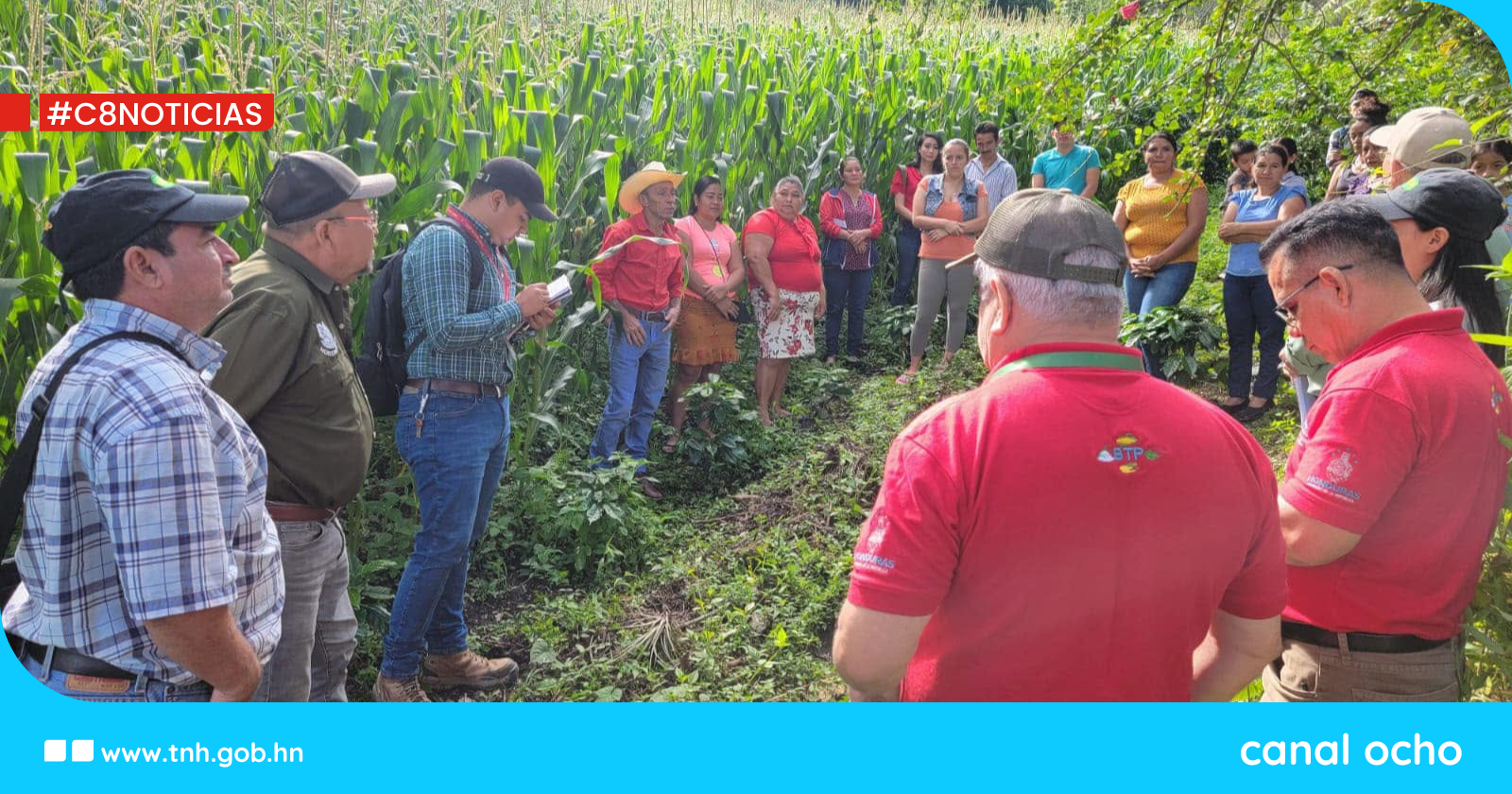 Ocotepeque impulsa la siembra con 60 Escuelas de Campo para Agricultores