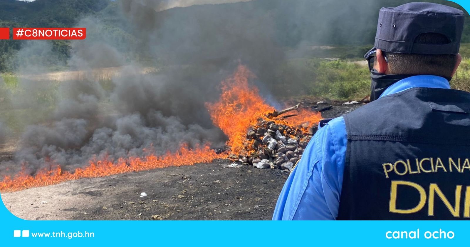 Incineran 334 libras de marihuana en el Distrito Central